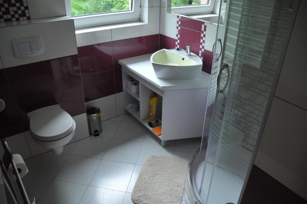 Willa Stenia Center Apartamenty Wisła Quarto foto